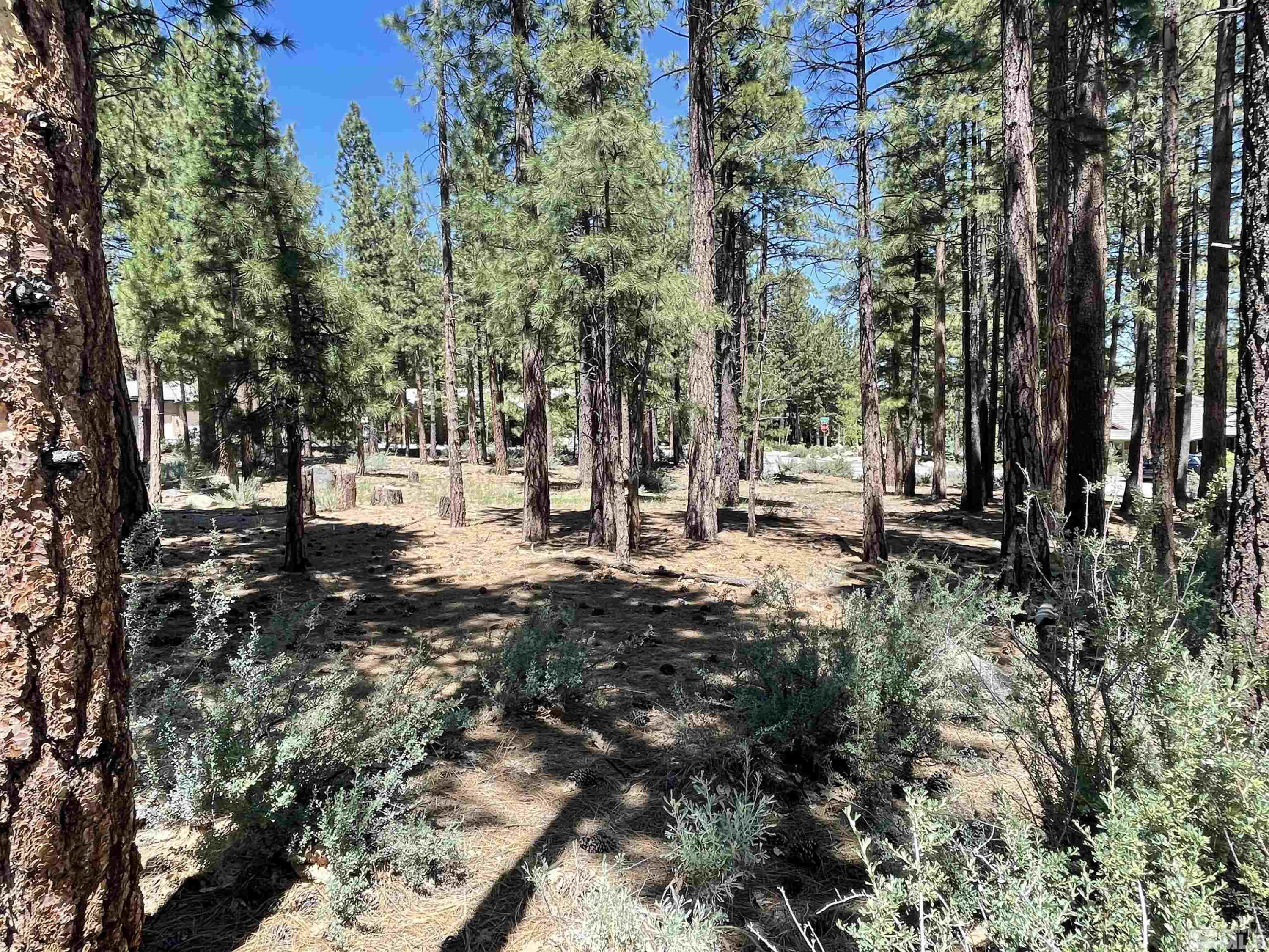420 Piney Creek Road Reno, NV 89511 - Photo 11 of 29 Photo 11