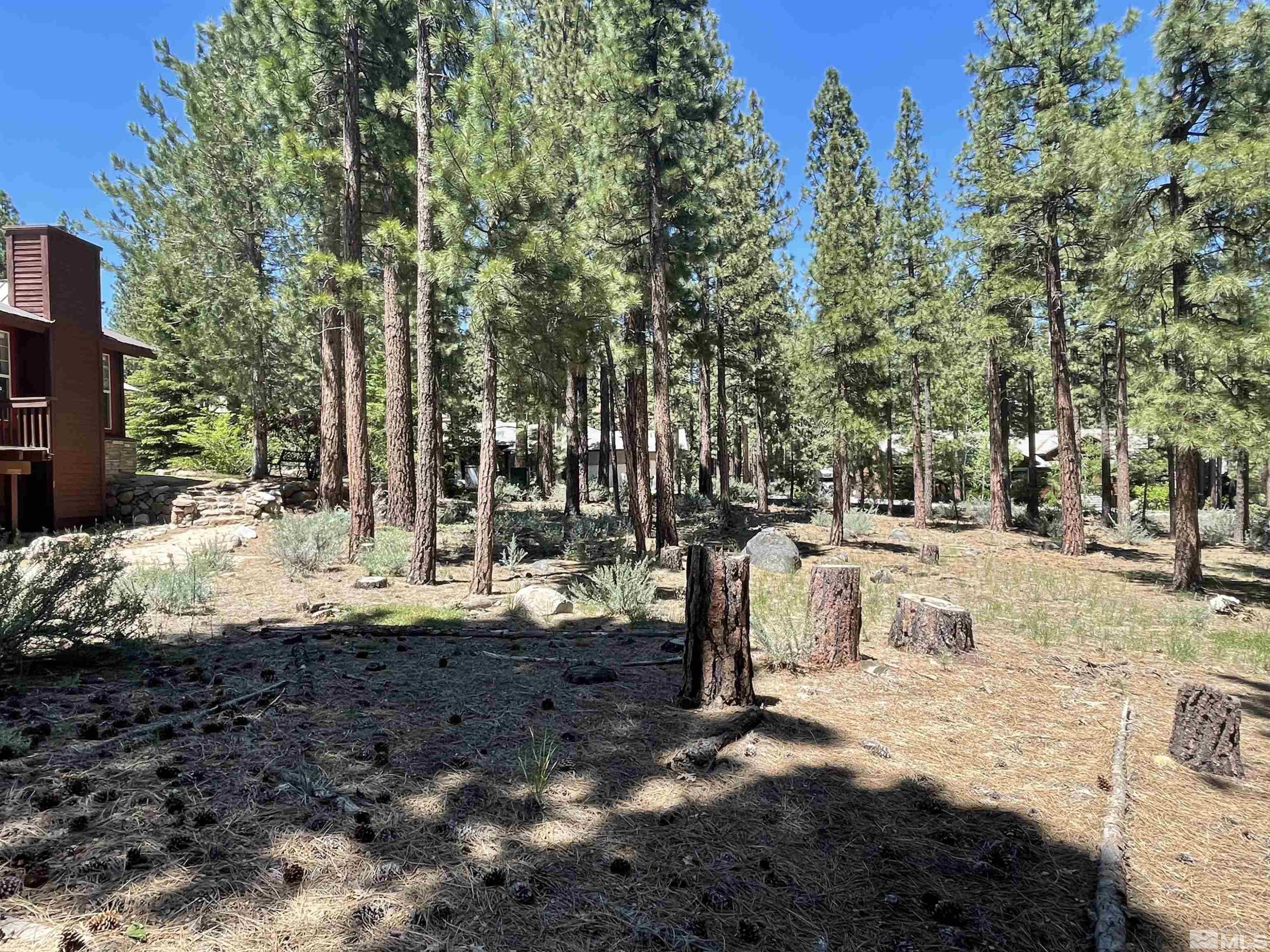 420 Piney Creek Road Reno, NV 89511 - Photo 12 of 29 Photo 12