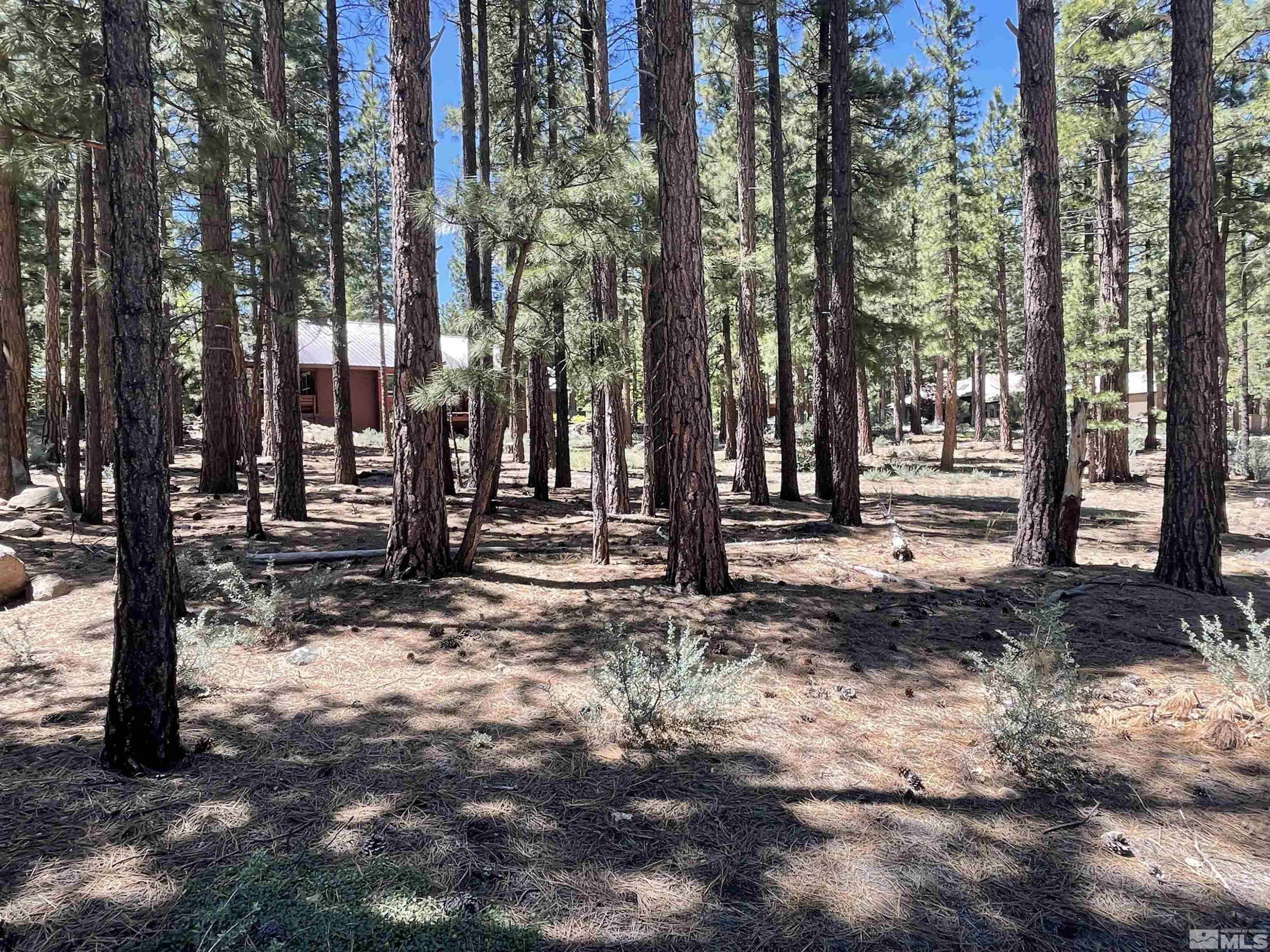 420 Piney Creek Road Reno, NV 89511 - Photo 15 of 29 Photo 15