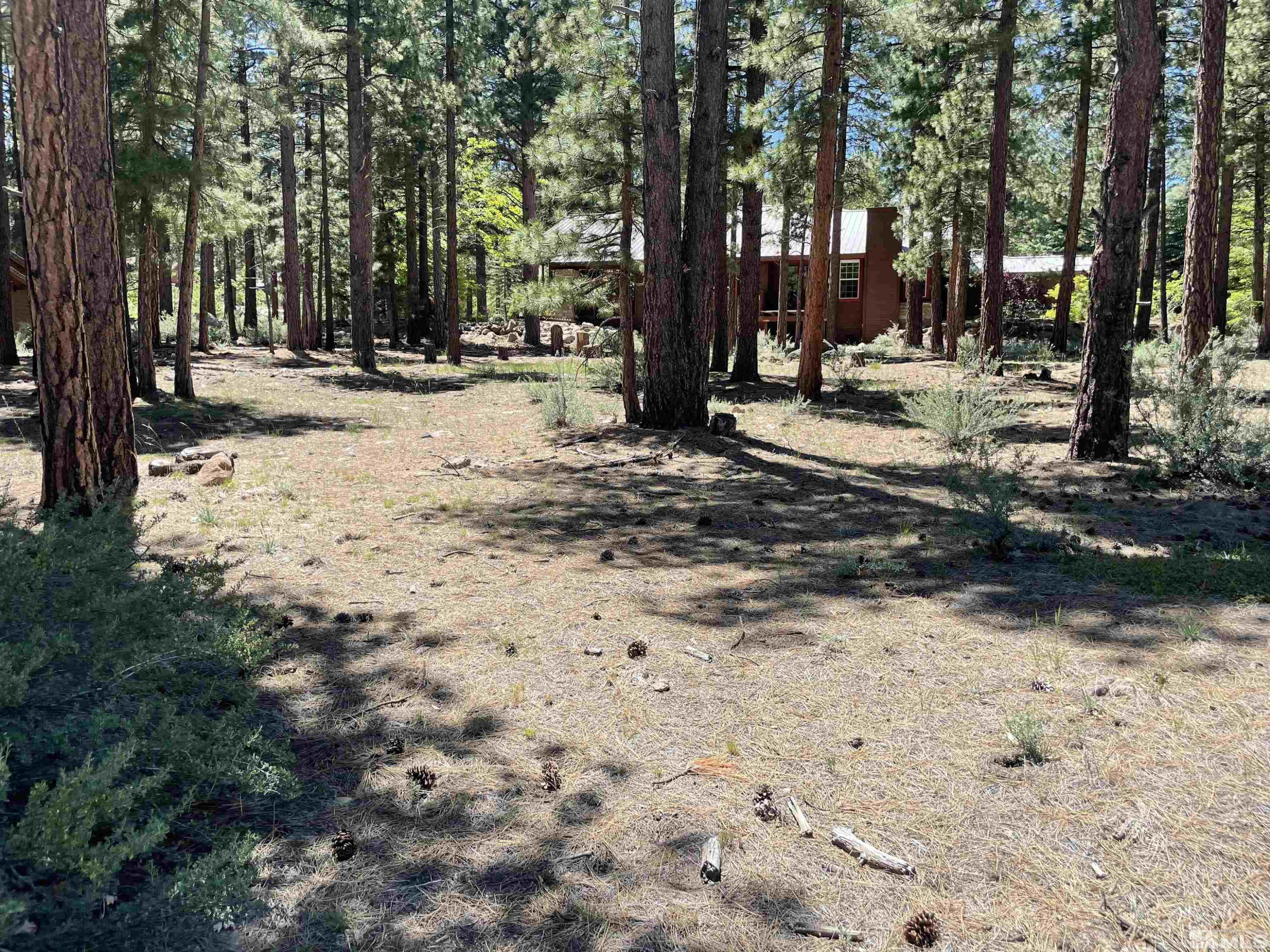 420 Piney Creek Road Reno, NV 89511 - Photo 16 of 29 Photo 16