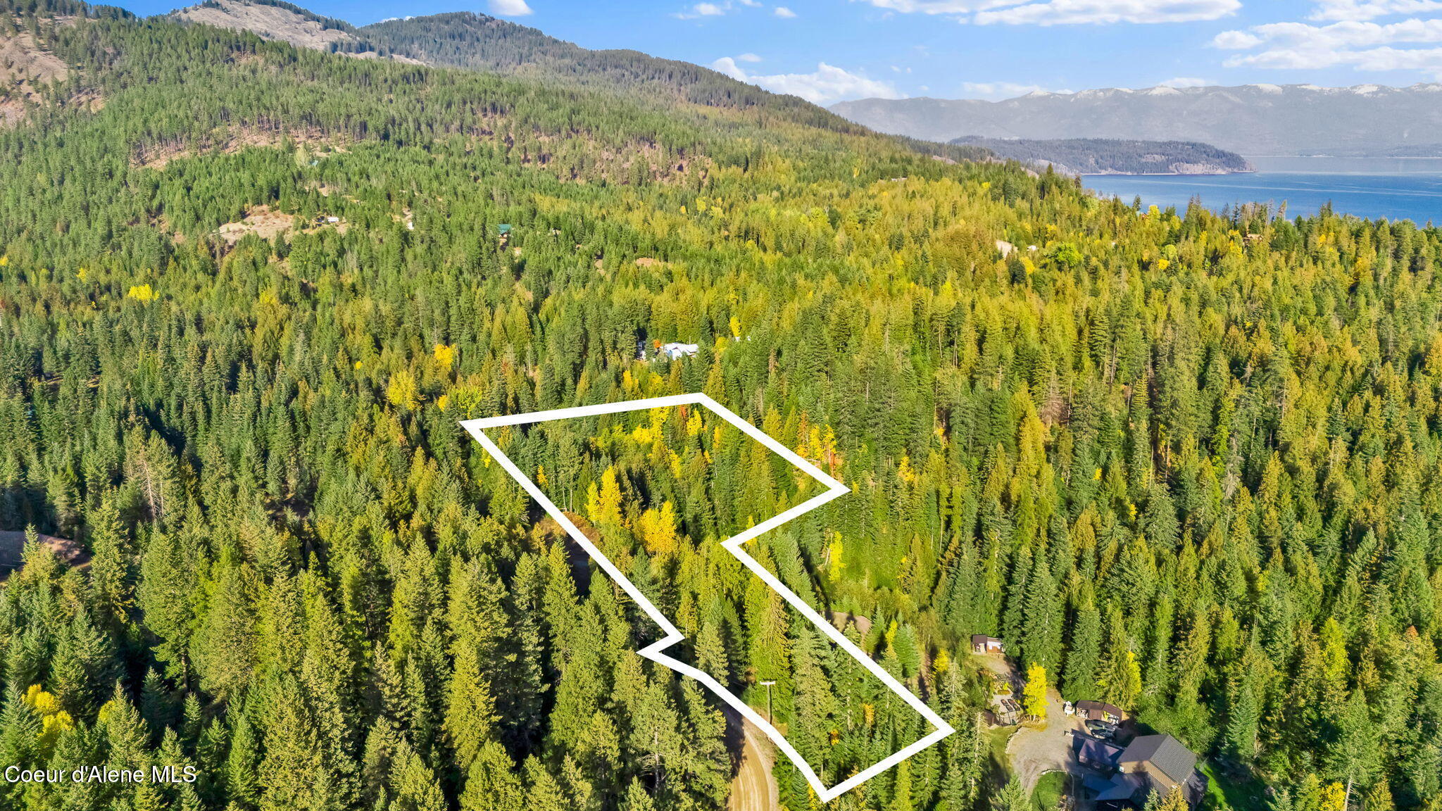 4-web-or-mls-SkyLight - Maddie 2-6L