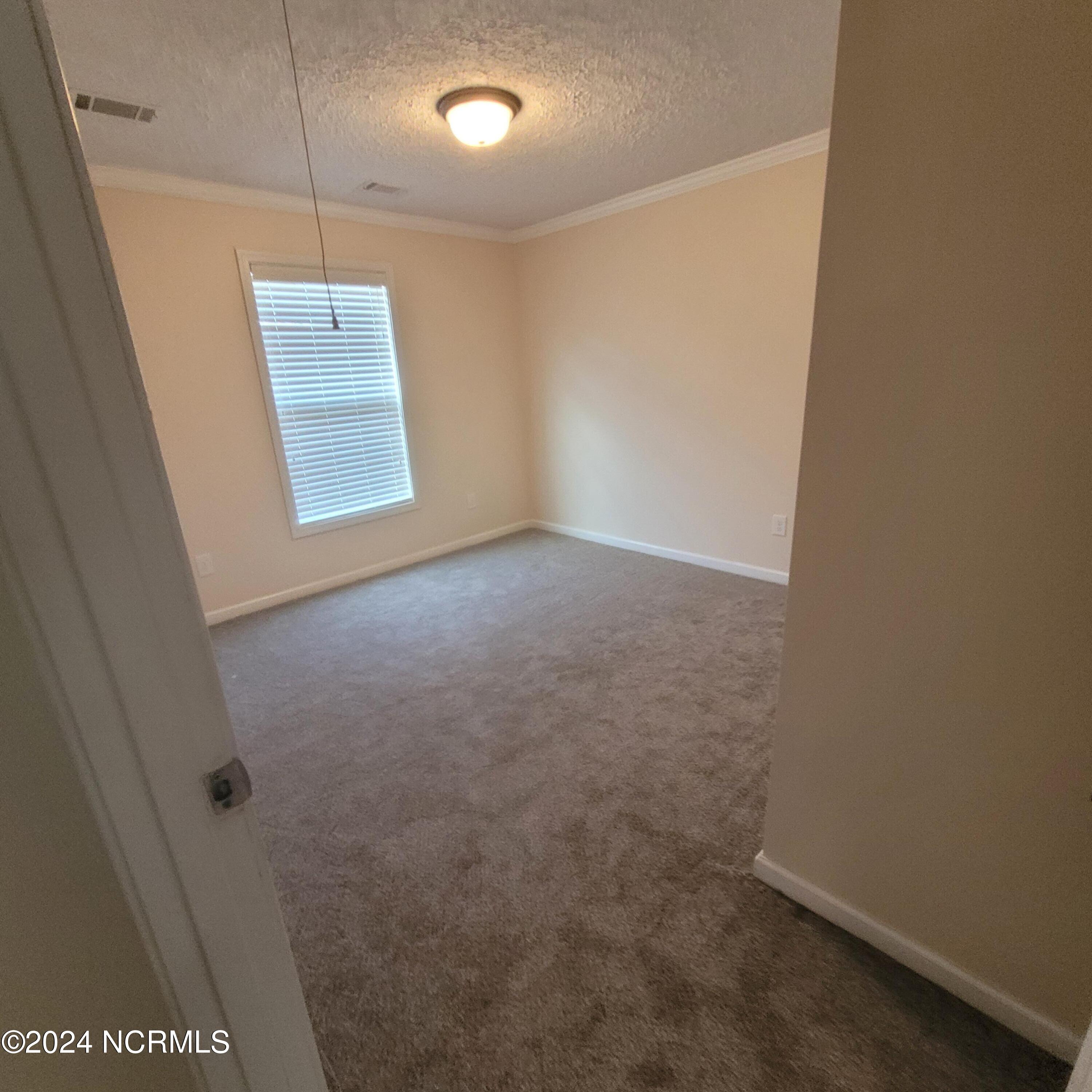 532 Pasture Branch Road Rose Hill, NC 28458 - Photo 18 of 20 20240204_153535 (1)