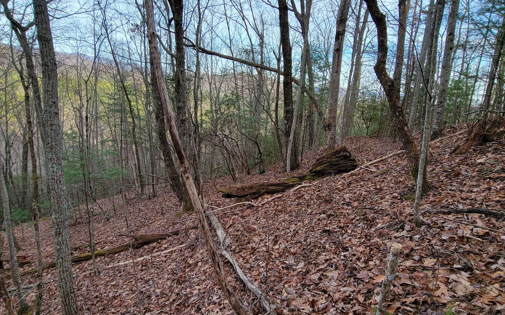 26 Beech Mountain Road Murphy, NC 28906 - Photo 8 of 8 Additional View