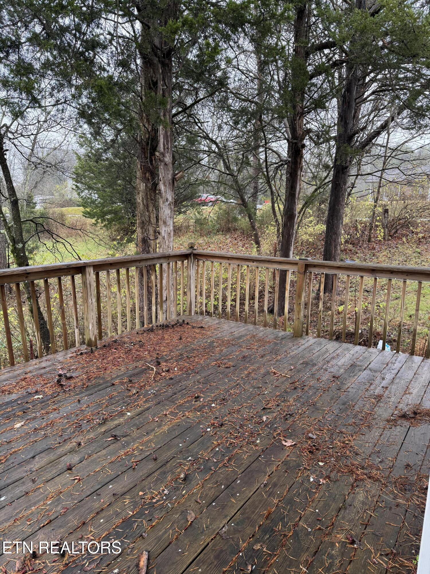 7215 North Ruggles Ferry Pike Knoxville, TN 37924 - Photo 27 of 32 IMG_8494