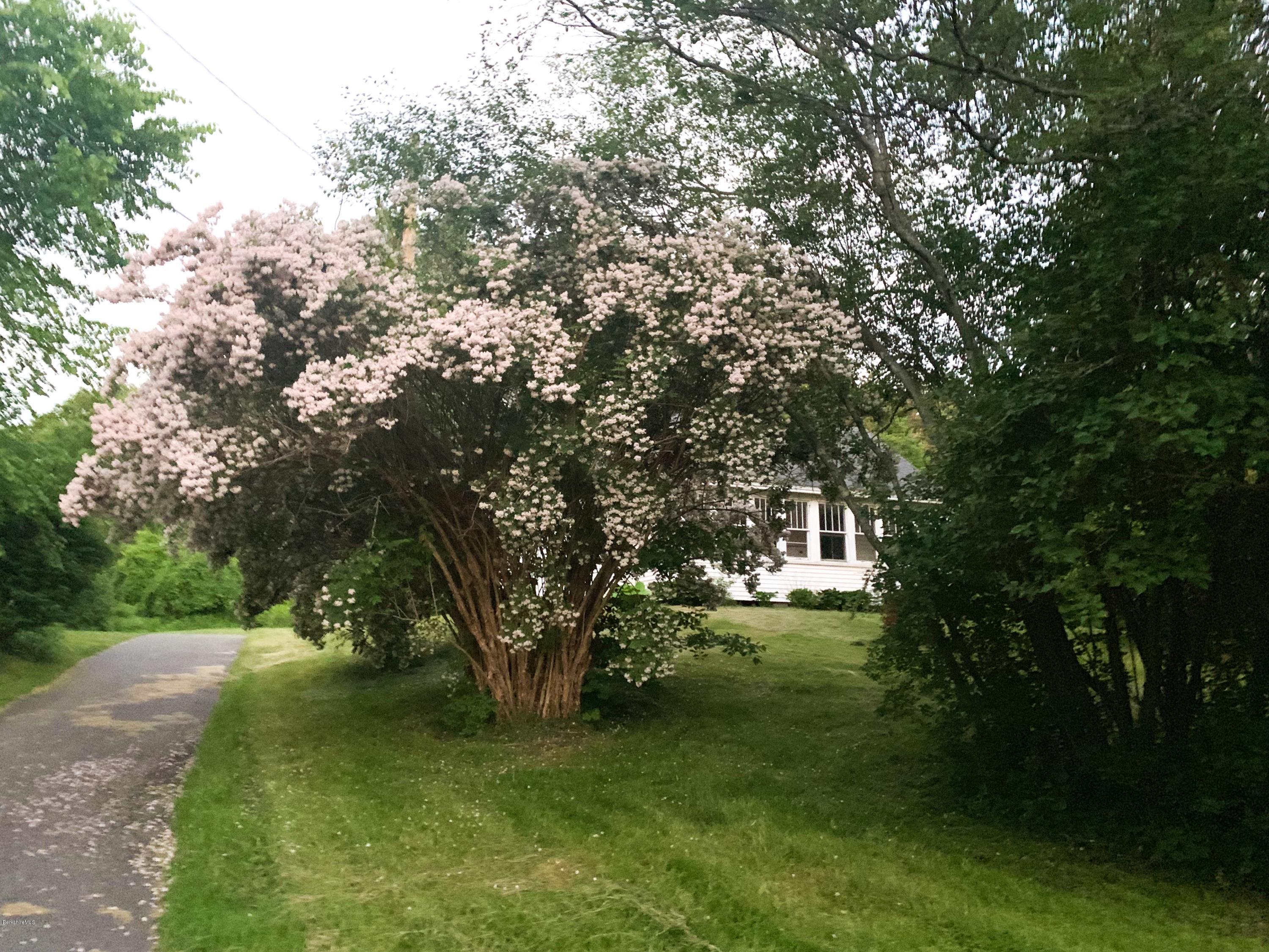 206 Old State Road Lanesborough, MA 01237 - Photo 4 of 56 Spring time