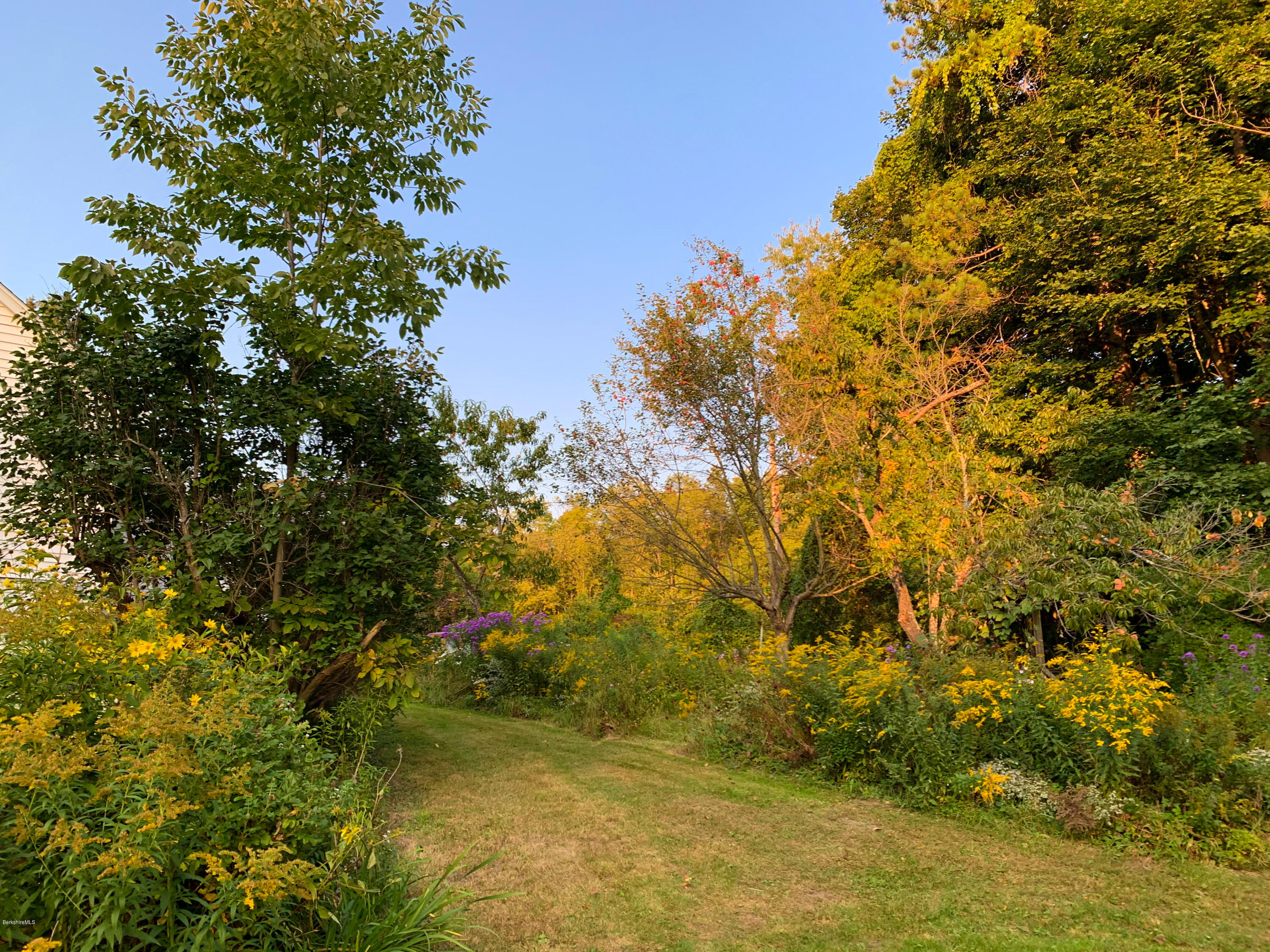 206 Old State Road Lanesborough, MA 01237 - Photo 43 of 56 Yard
