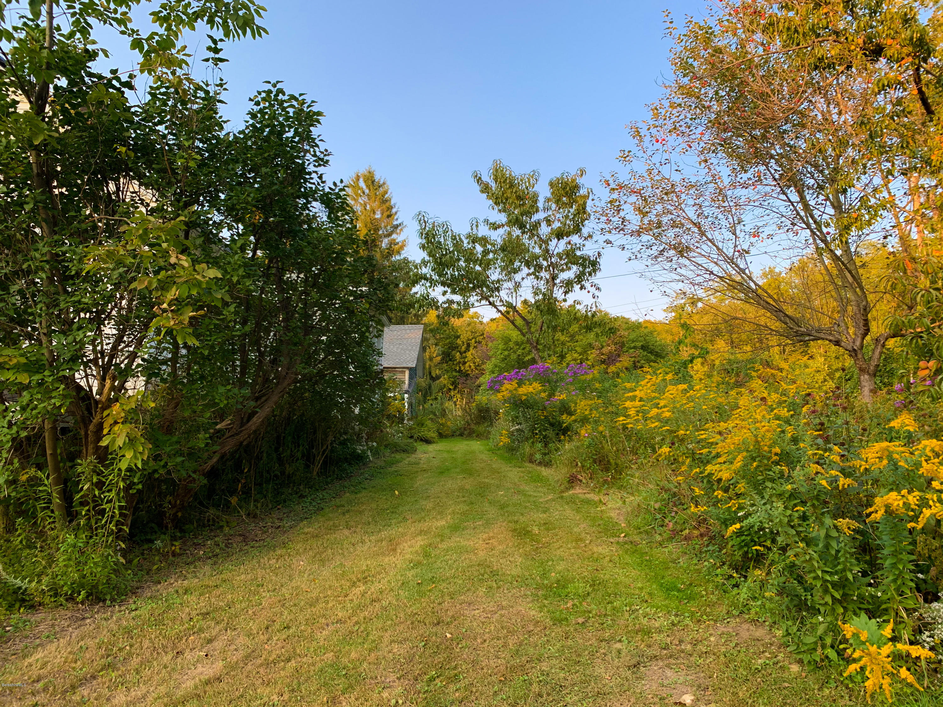 206 Old State Road Lanesborough, MA 01237 - Photo 46 of 56 Yard