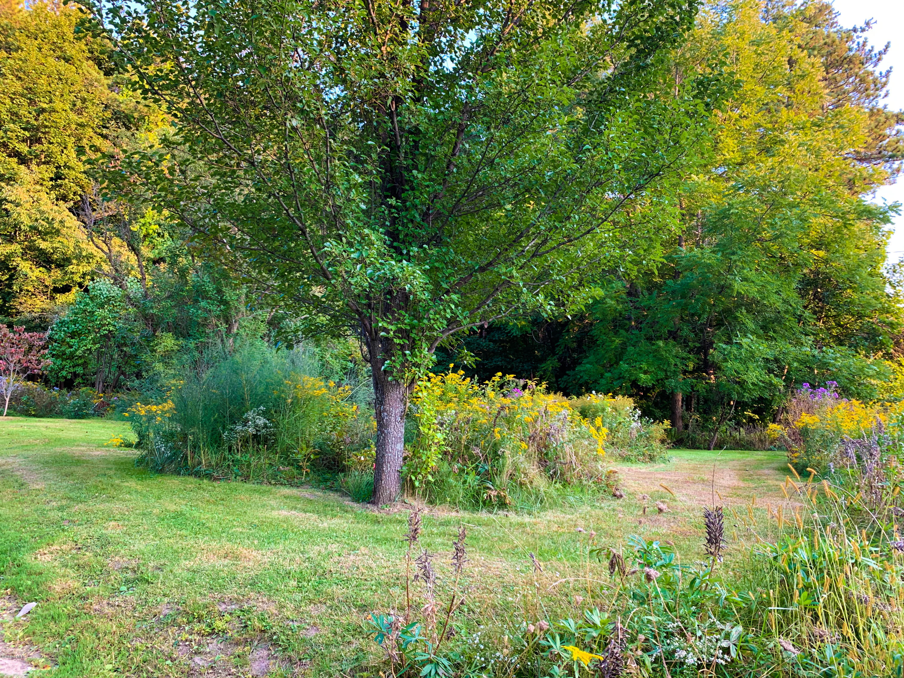 206 Old State Road Lanesborough, MA 01237 - Photo 47 of 56 Yard