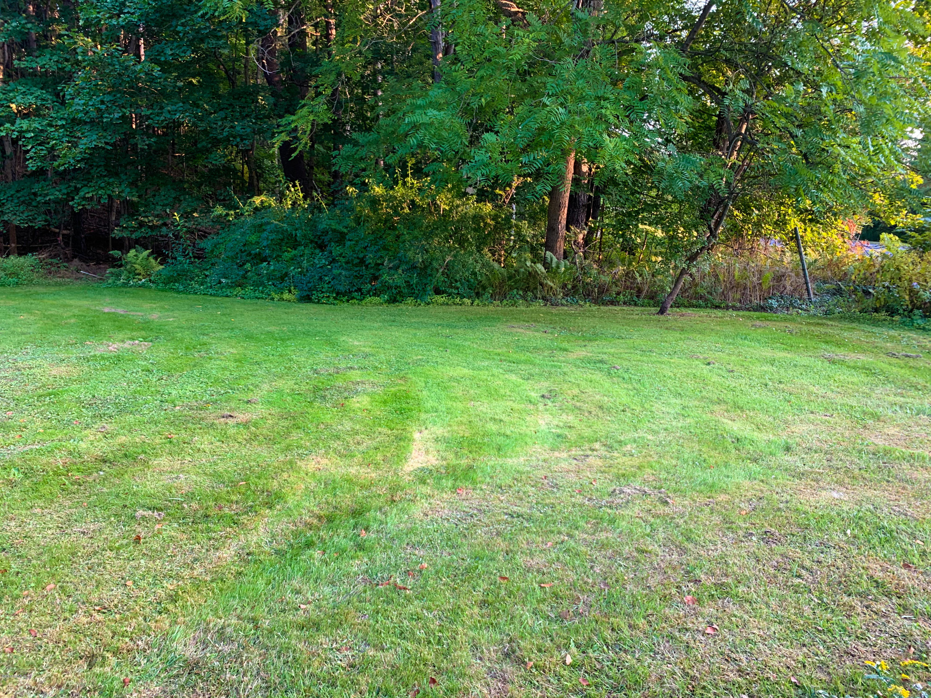 206 Old State Road Lanesborough, MA 01237 - Photo 49 of 56 Yard