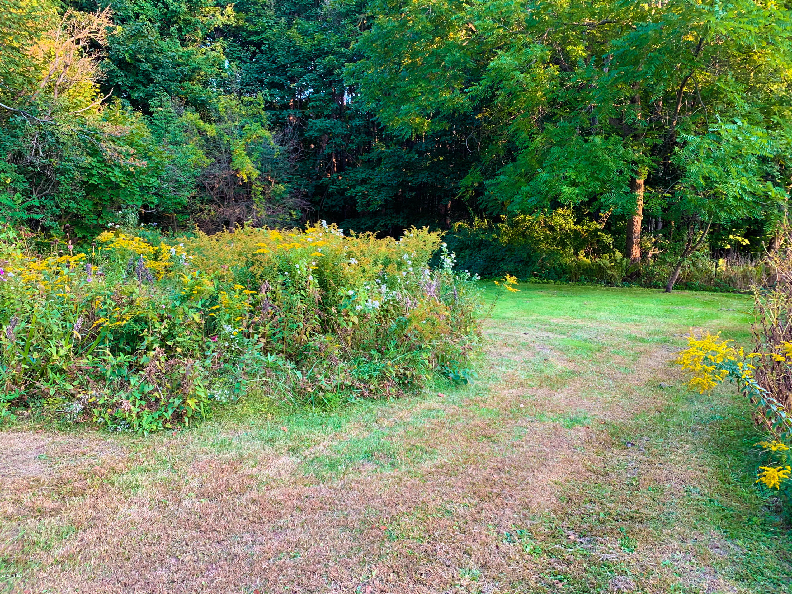 206 Old State Road Lanesborough, MA 01237 - Photo 52 of 56 Yard