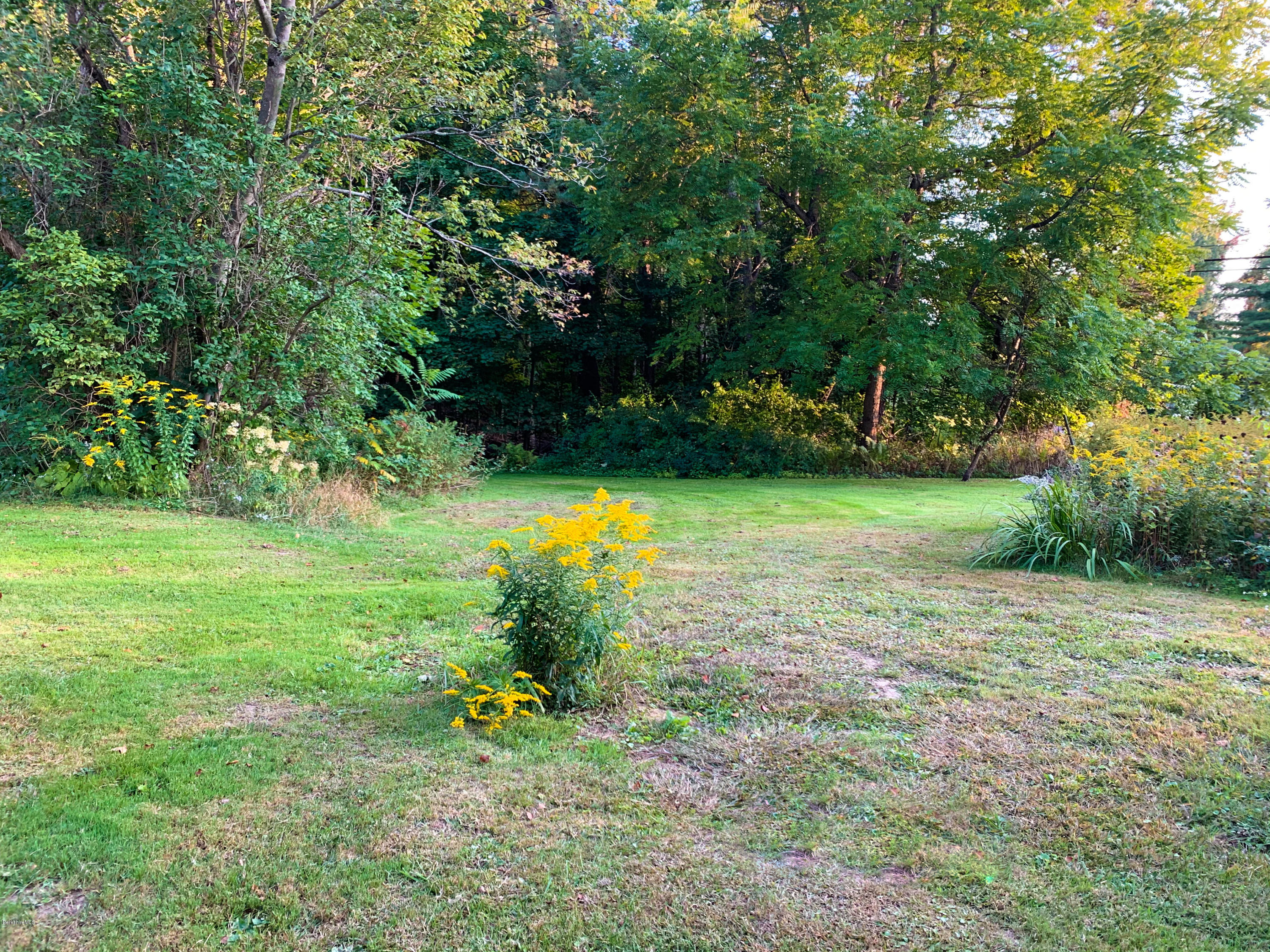 206 Old State Road Lanesborough, MA 01237 - Photo 53 of 56 Yard