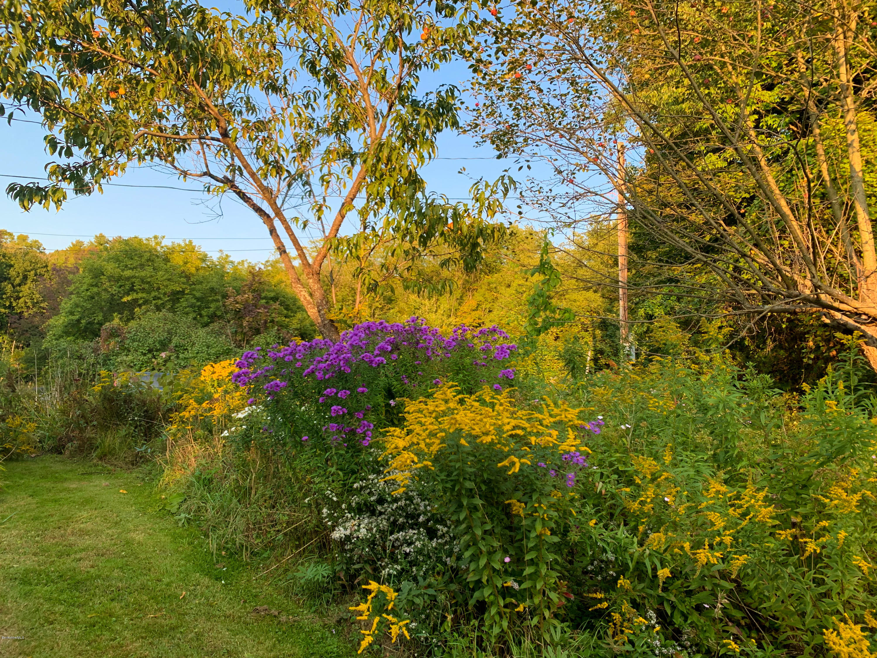 206 Old State Road Lanesborough, MA 01237 - Photo 56 of 56 Mature landscaping