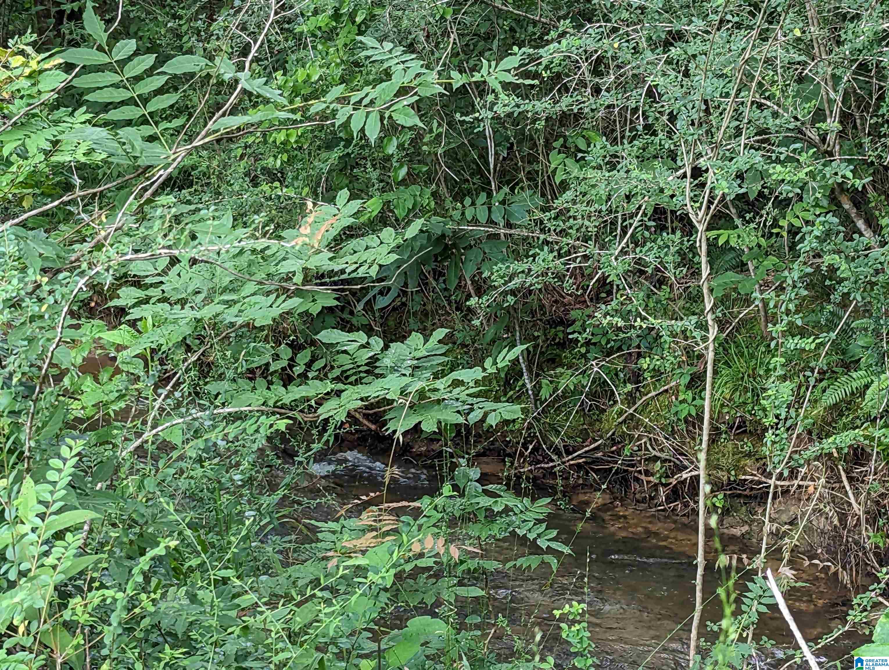 239 County Road 835 Clanton, AL 35046 - Photo 45 of 55