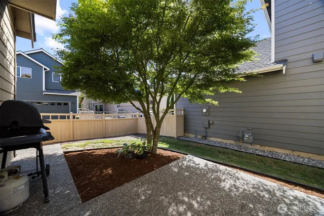 a view of a yard with plants and a tree