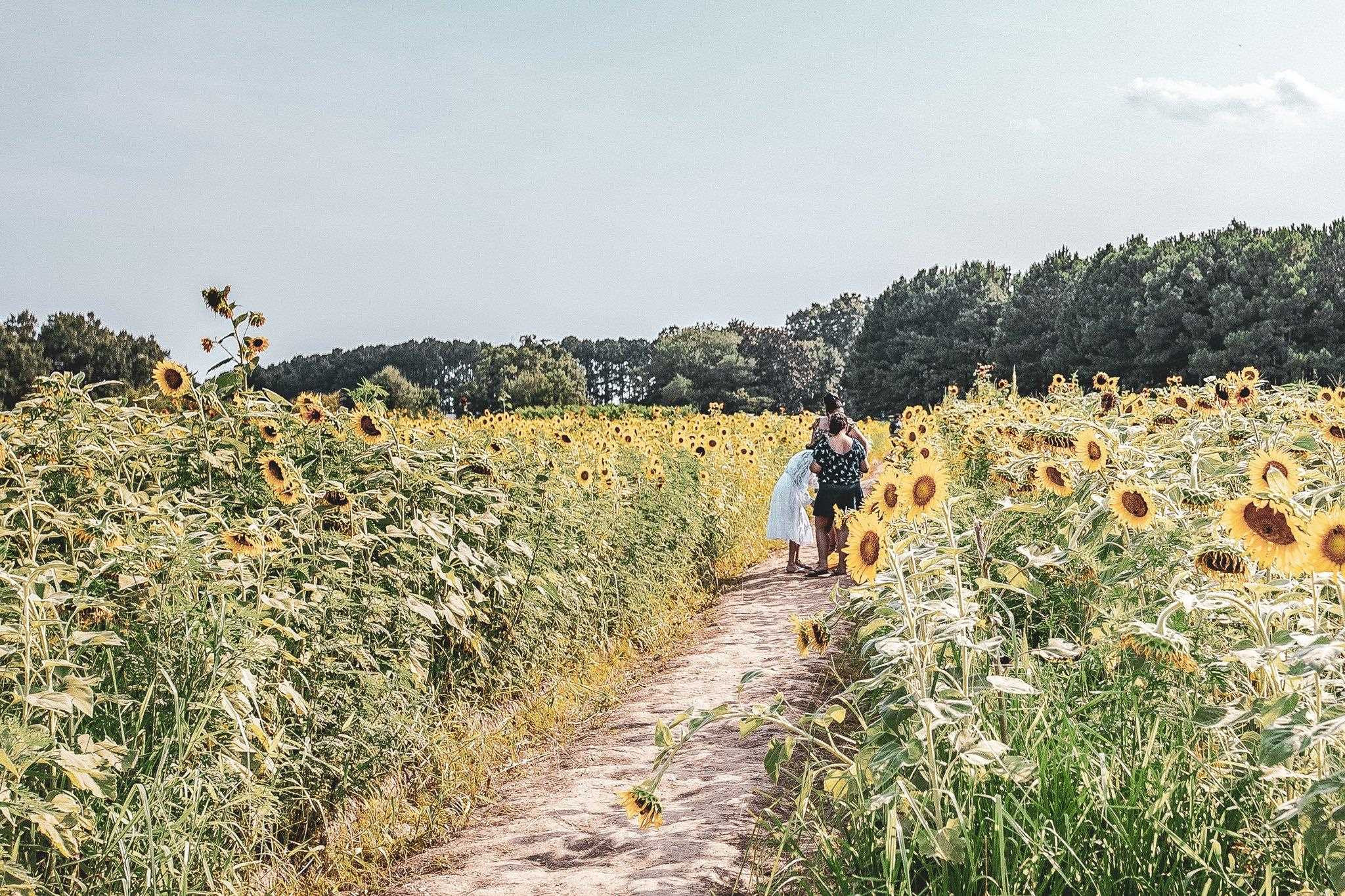 617 South West Street Raleigh, NC 27601 - Photo 38 of 44 a view of ocean view