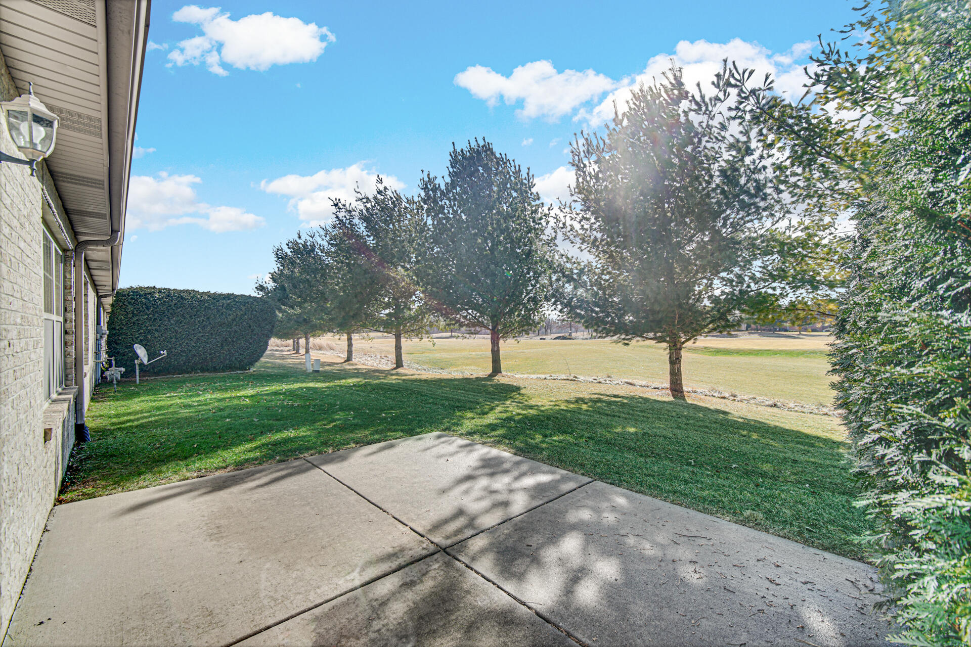 805 Veterans Lane Crown Point, IN 46307 - Photo 25 of 34 a view of backyard with tree