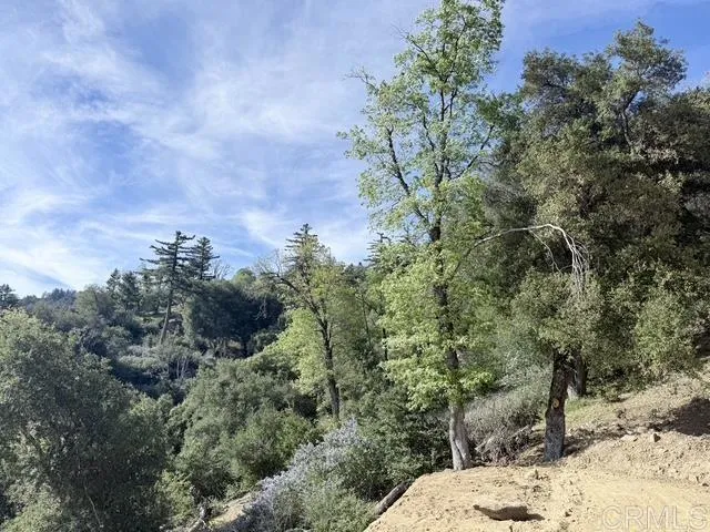 32900 South Grade Road Pauma Valley, CA 92061 - Photo 11 of 19
