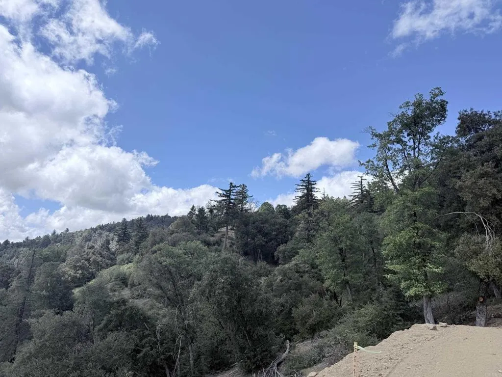 32900 South Grade Road Pauma Valley, CA 92061 - Photo 12 of 19