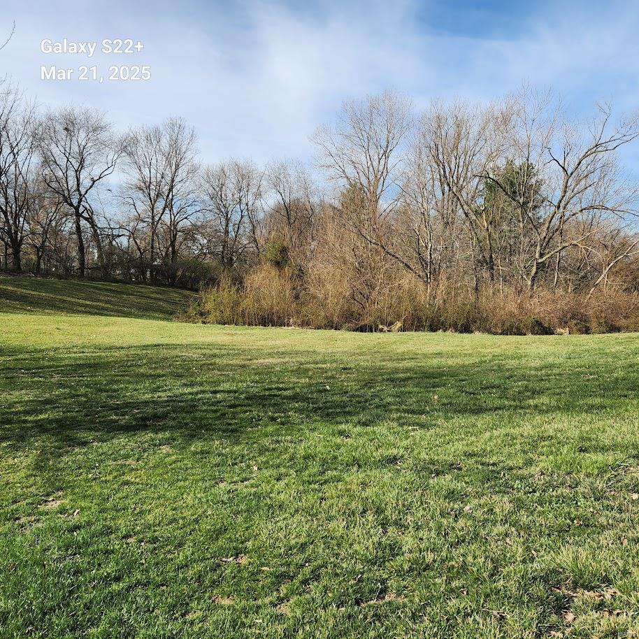 0 Sunray Drive Highland, IL 62249 - Photo 7 of 9