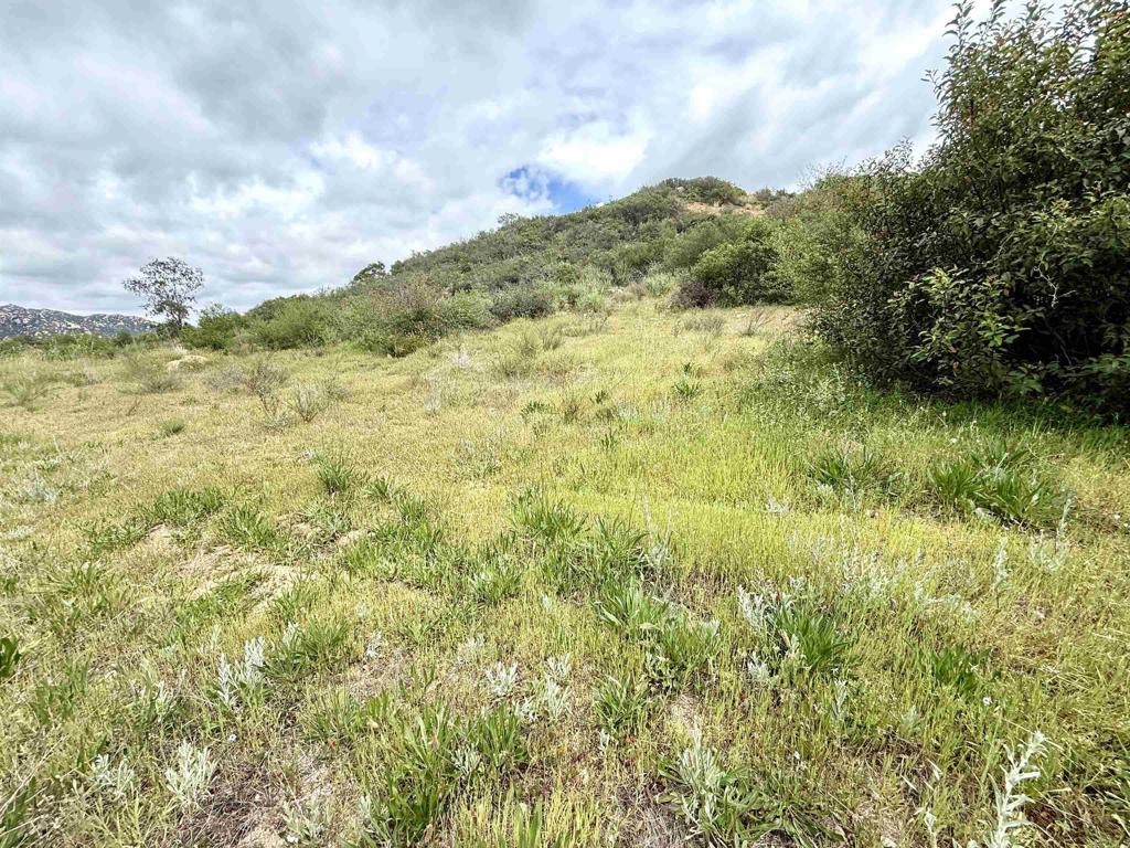 0 Mt Olympus Valley Road Fallbrook, CA 92028 - Photo 35 of 50