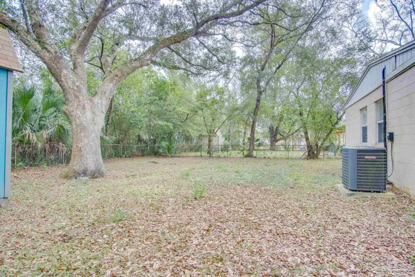 a view of a yard with large tree