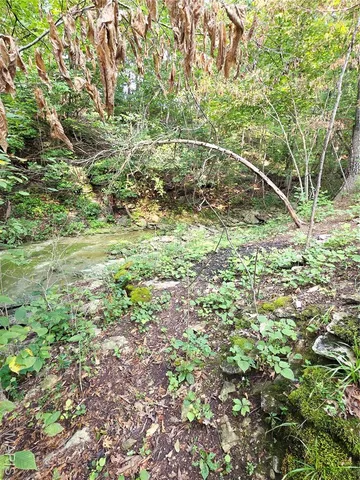 $155,000 | Lot 11 Lick Creek Estates, Perry, MO 63462