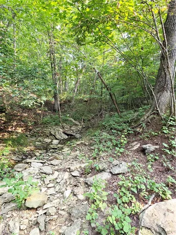 $155,000 | Lot 11 Lick Creek Estates, Perry, MO 63462