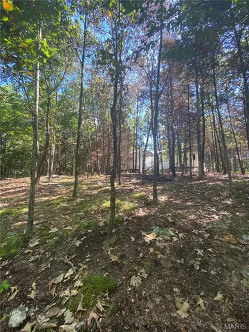 $155,000 | Lot 11 Lick Creek Estates, Perry, MO 63462