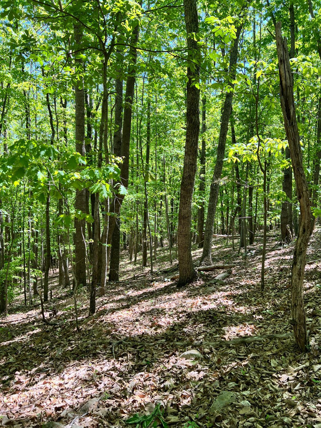298 Braxton Ridge Road Amherst, VA 24521 - Photo 61 of 65 a view of outdoor space and trees