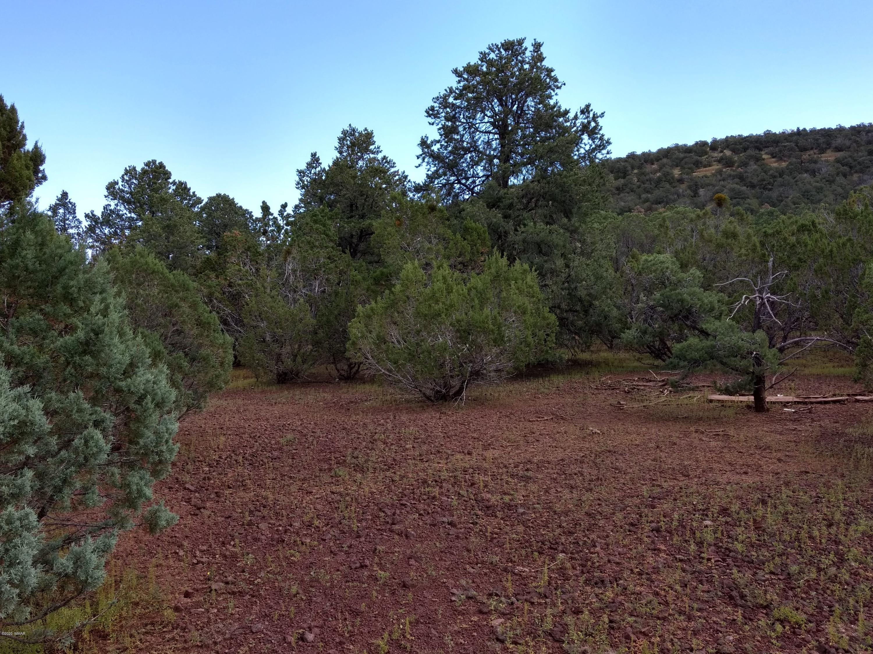 9 County Road Show Low, AZ 85901 - Photo 25 of 46 a view of a forest with trees in the background