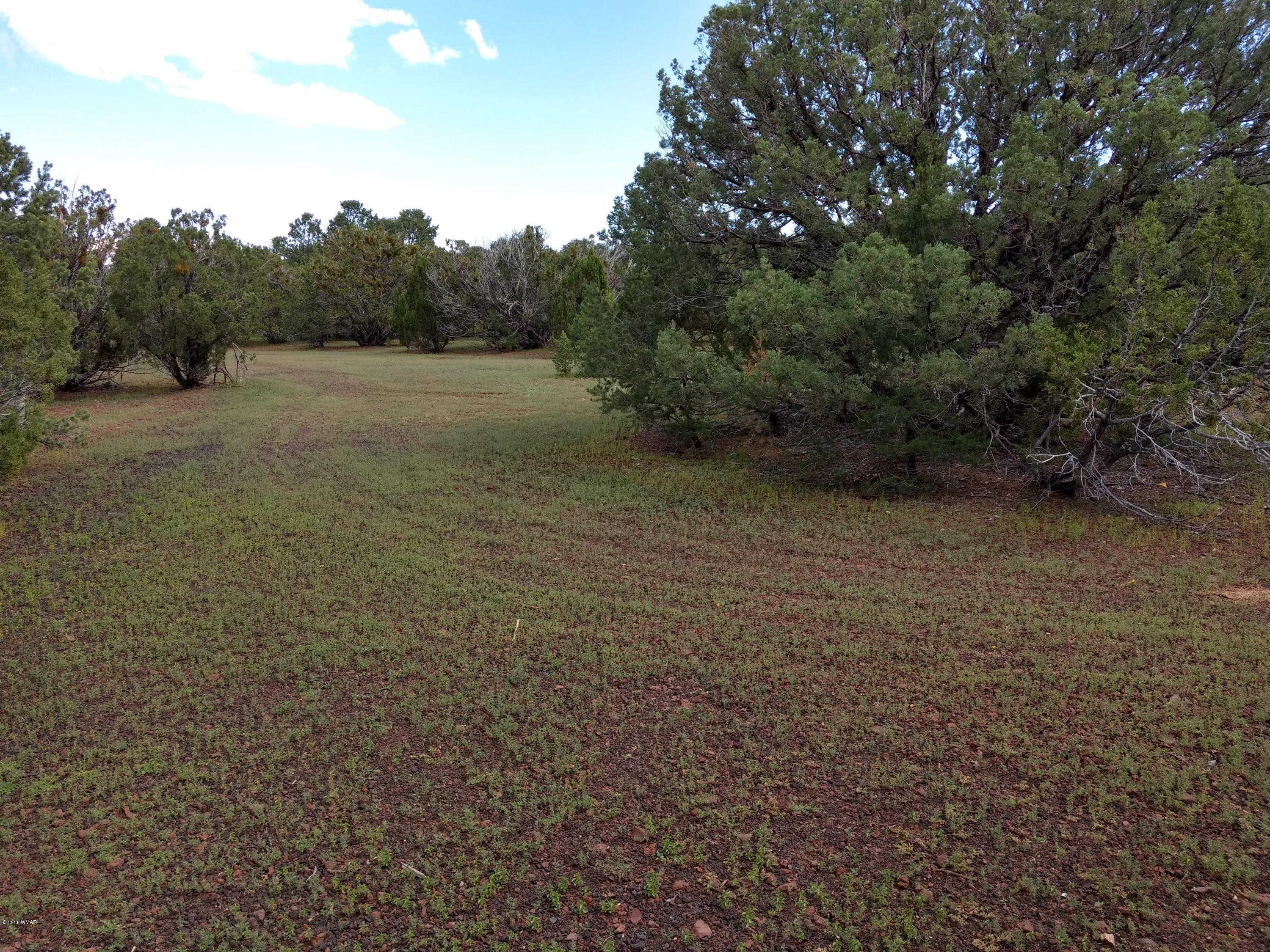 9 County Road Show Low, AZ 85901 - Photo 28 of 46 a view of a field with trees in background