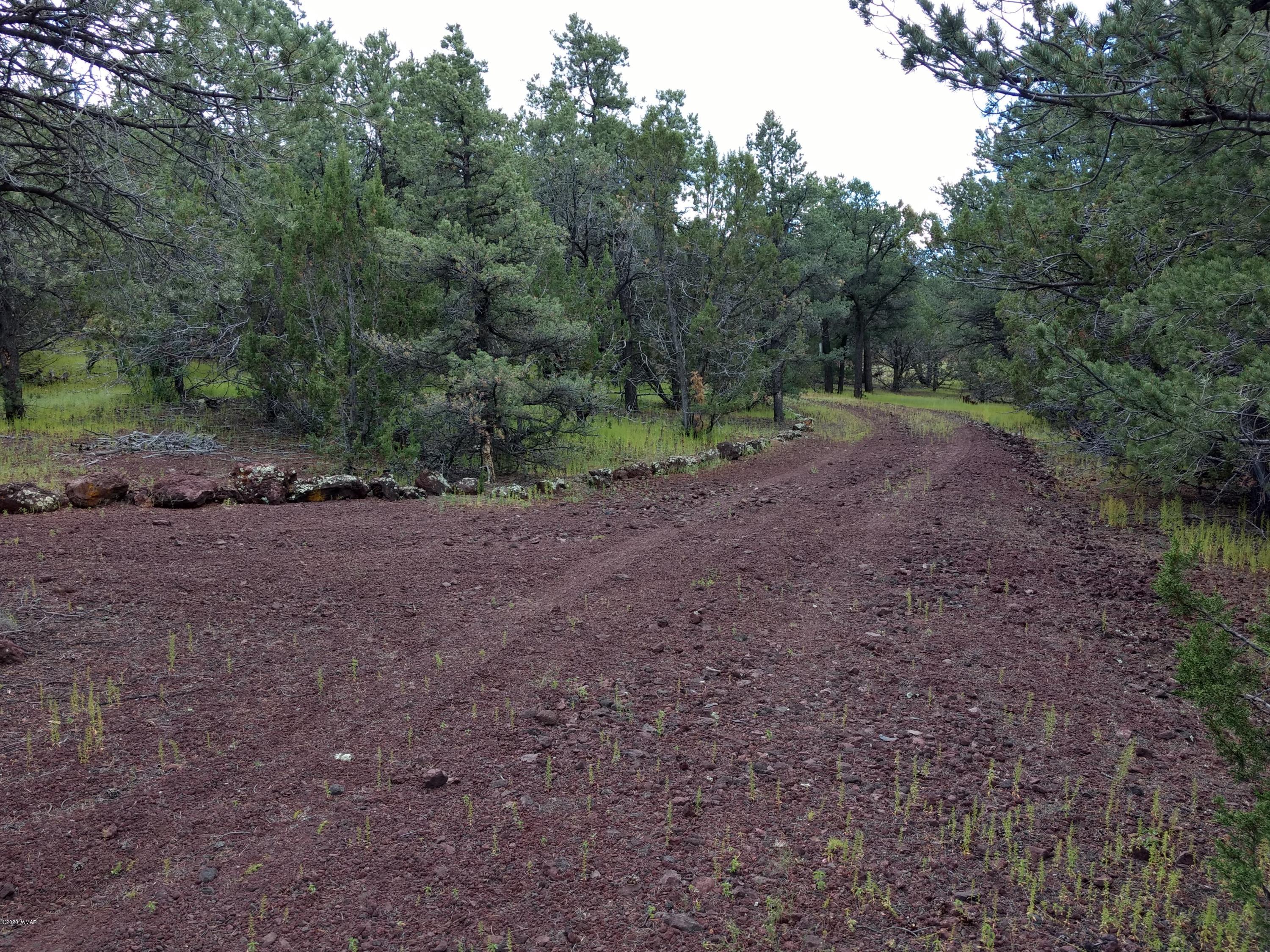 9 County Road Show Low, AZ 85901 - Photo 32 of 46 a view of a dirt road with trees in the background