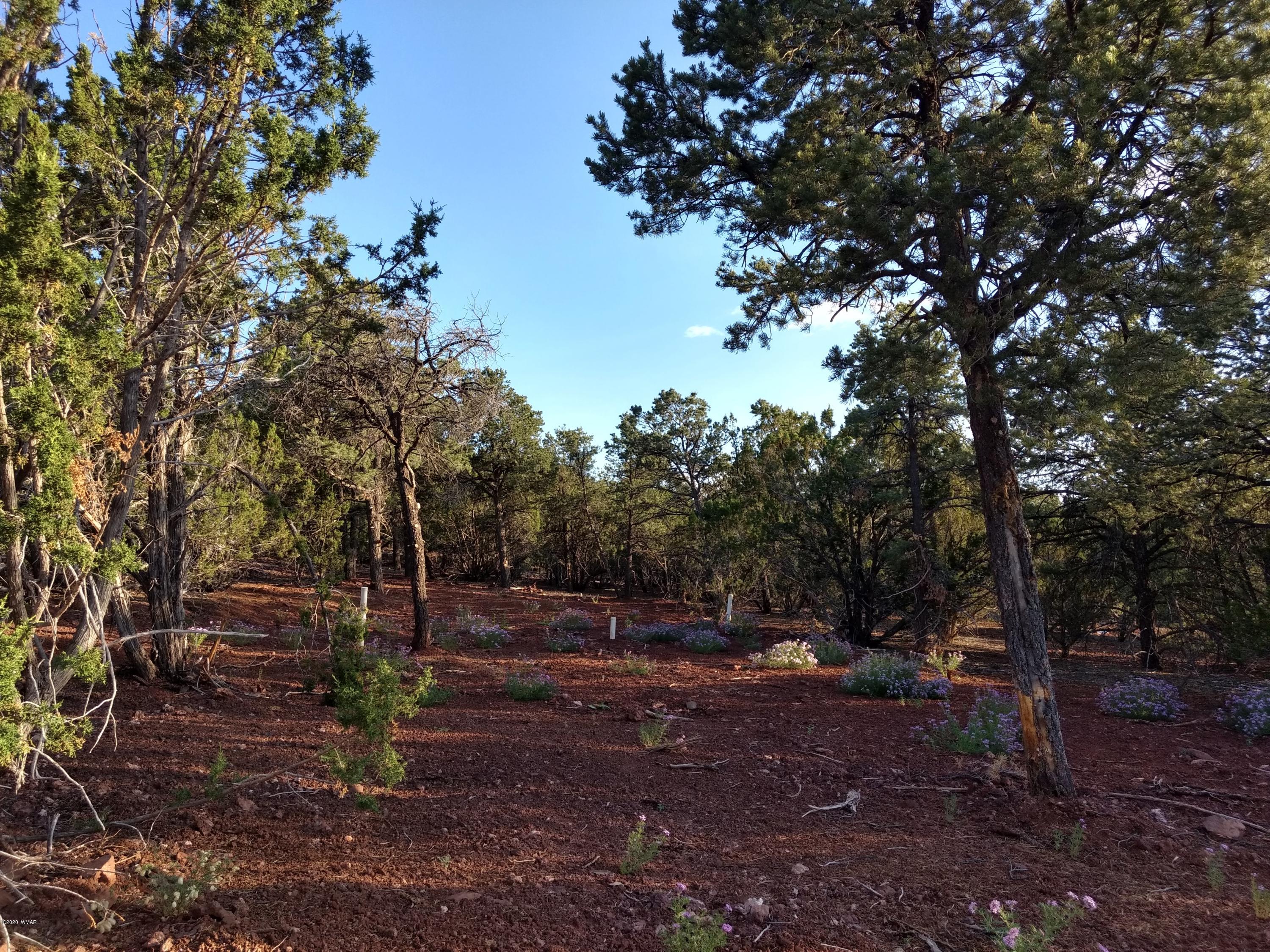 9 County Road Show Low, AZ 85901 - Photo 35 of 46 a view of backyard with green space
