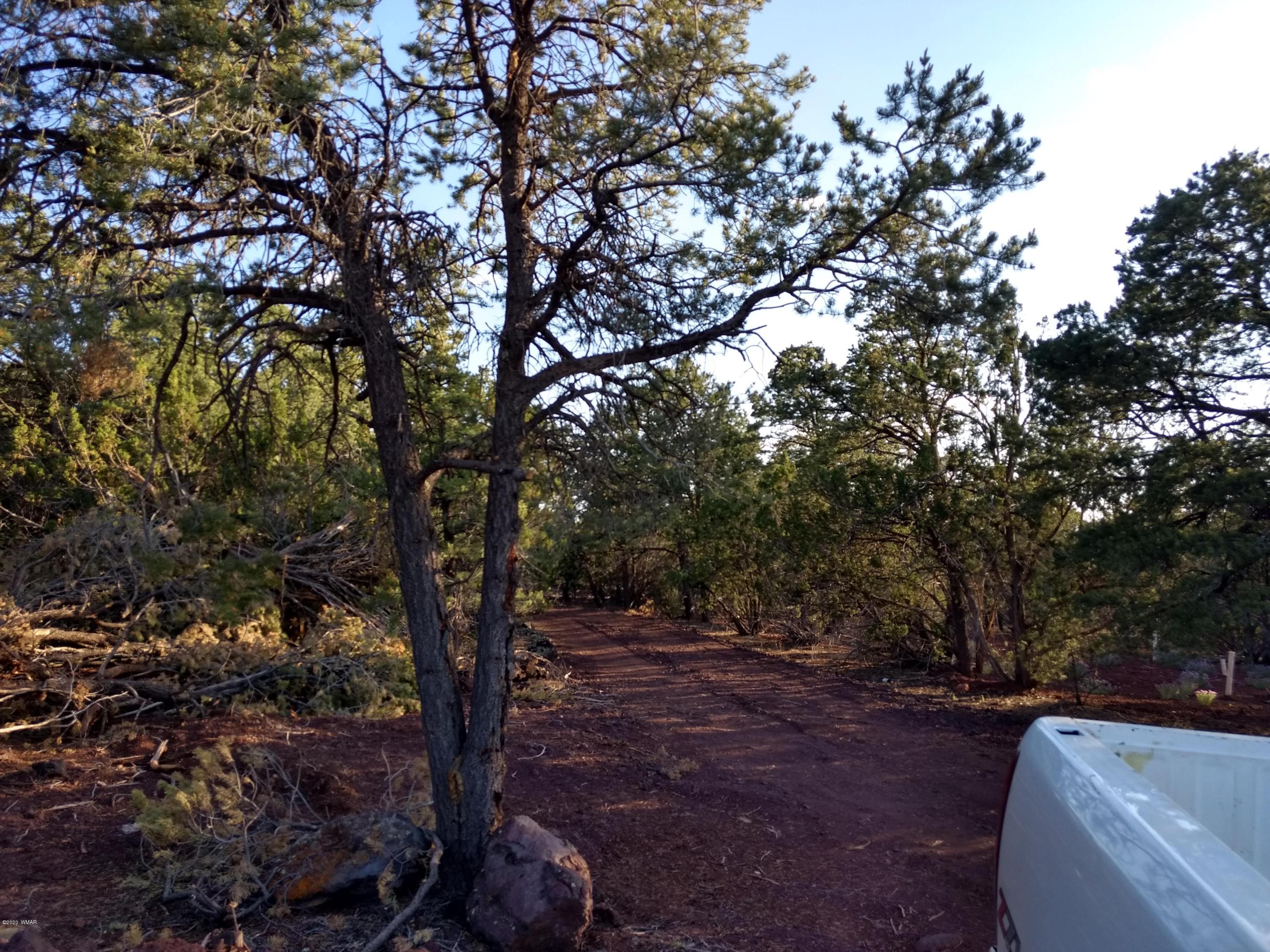 9 County Road Show Low, AZ 85901 - Photo 39 of 46 a view of outdoor space with trees