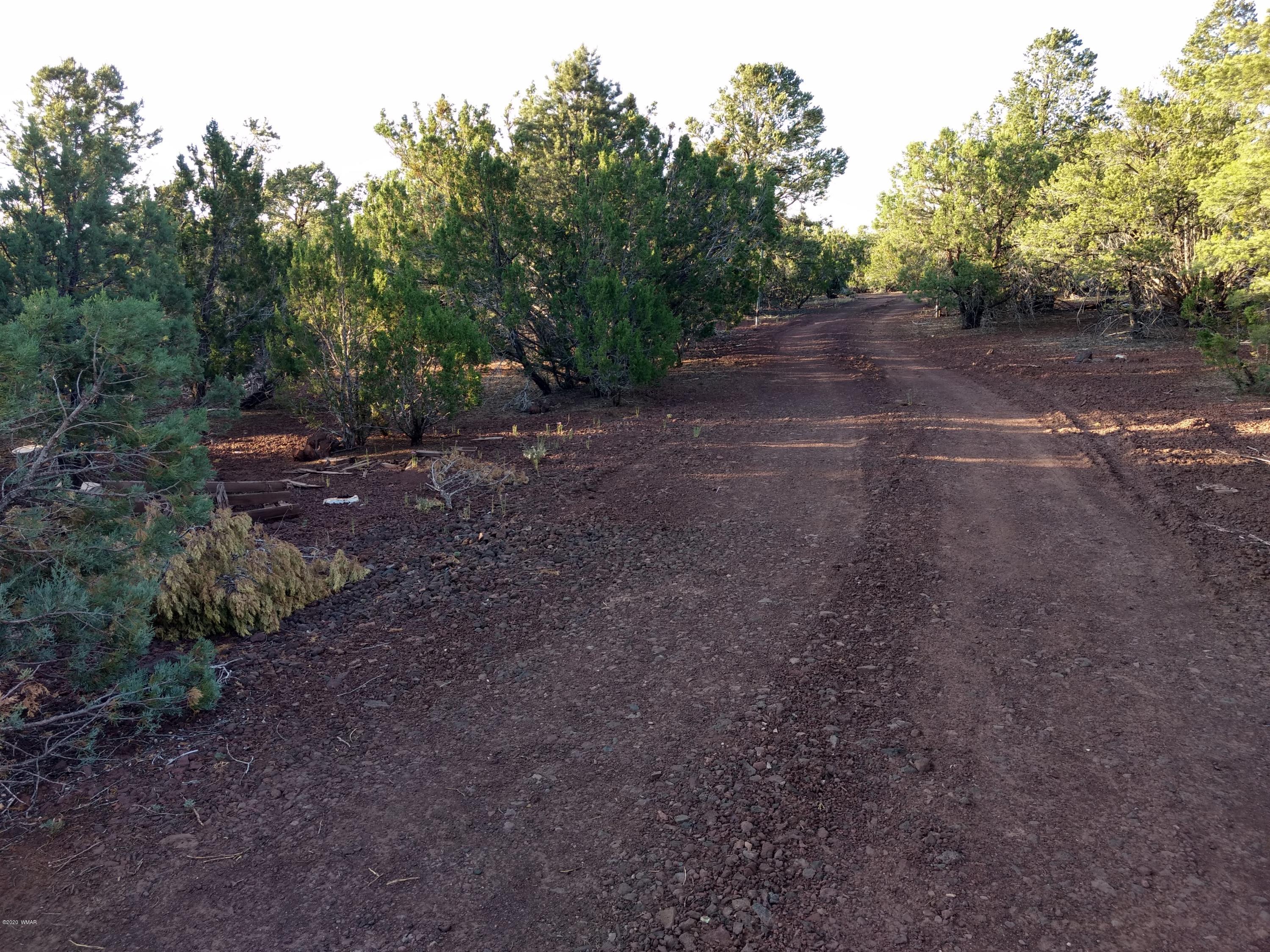 9 County Road Show Low, AZ 85901 - Photo 41 of 46 a view of a yard with a tree