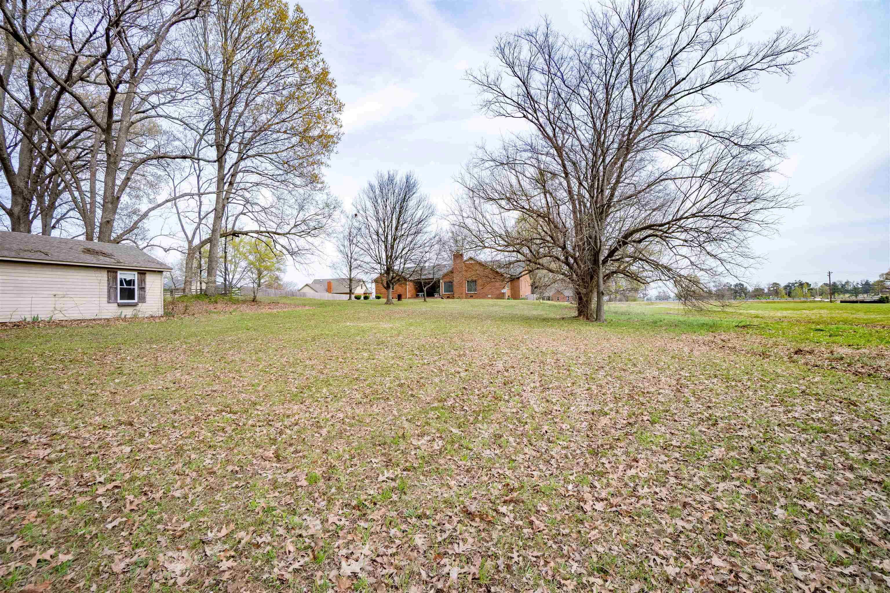 43 Hastings Way Covington, TN 38019 - Photo 4 of 21 a view of a yard with a tree