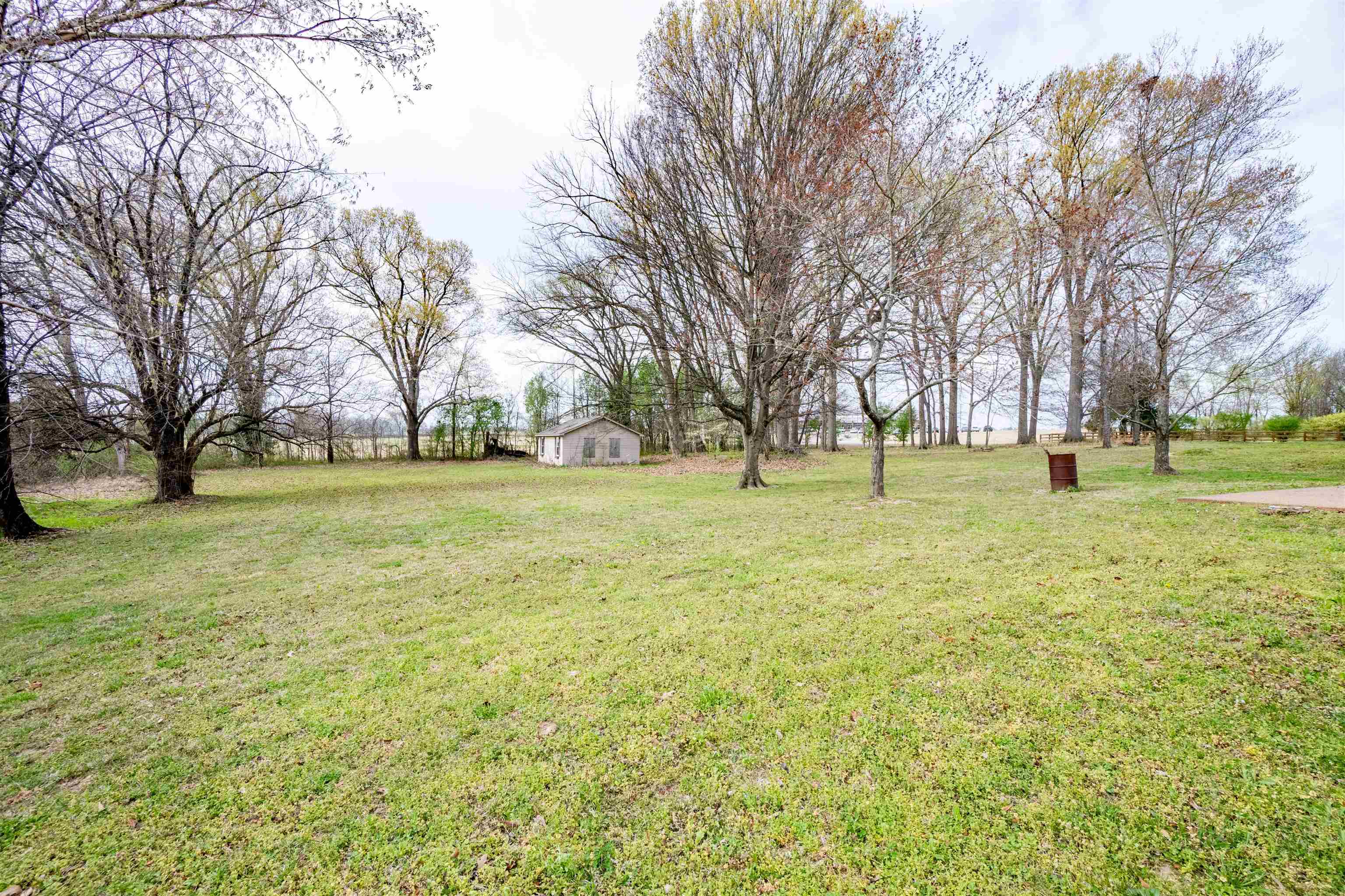 43 Hastings Way Covington, TN 38019 - Photo 6 of 21 a view of a field with tree s