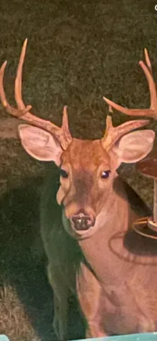 $560,000 | 1147 Tonya Trail, Cumberland Furnace, TN 37051