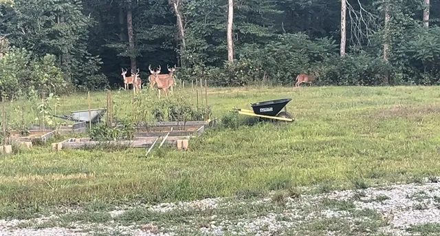 $560,000 | 1147 Tonya Trail, Cumberland Furnace, TN 37051