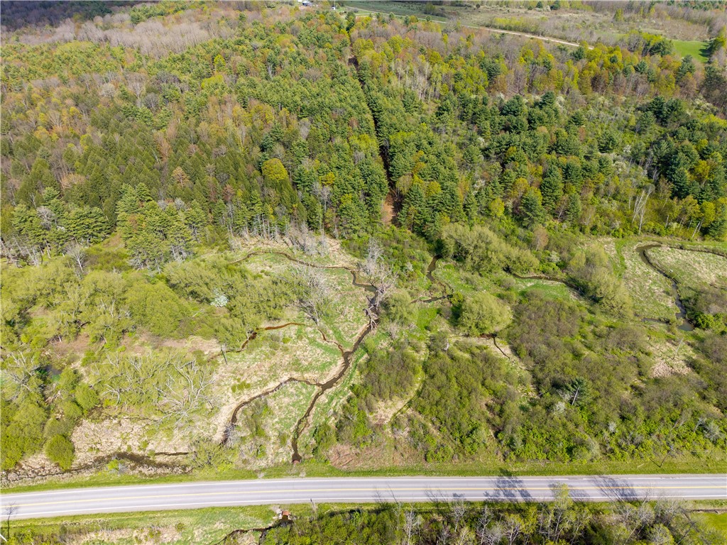 0 County Route 13 Bath, NY 14810 - Photo 22 of 26