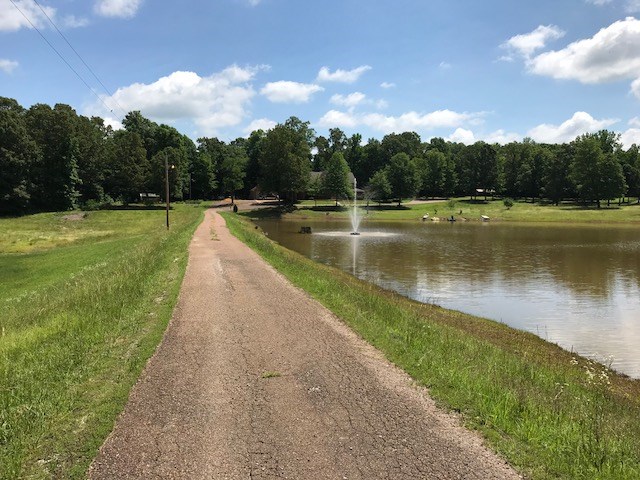 310 George Walter Road Bolivar, TN 38008 - Photo 18 of 25