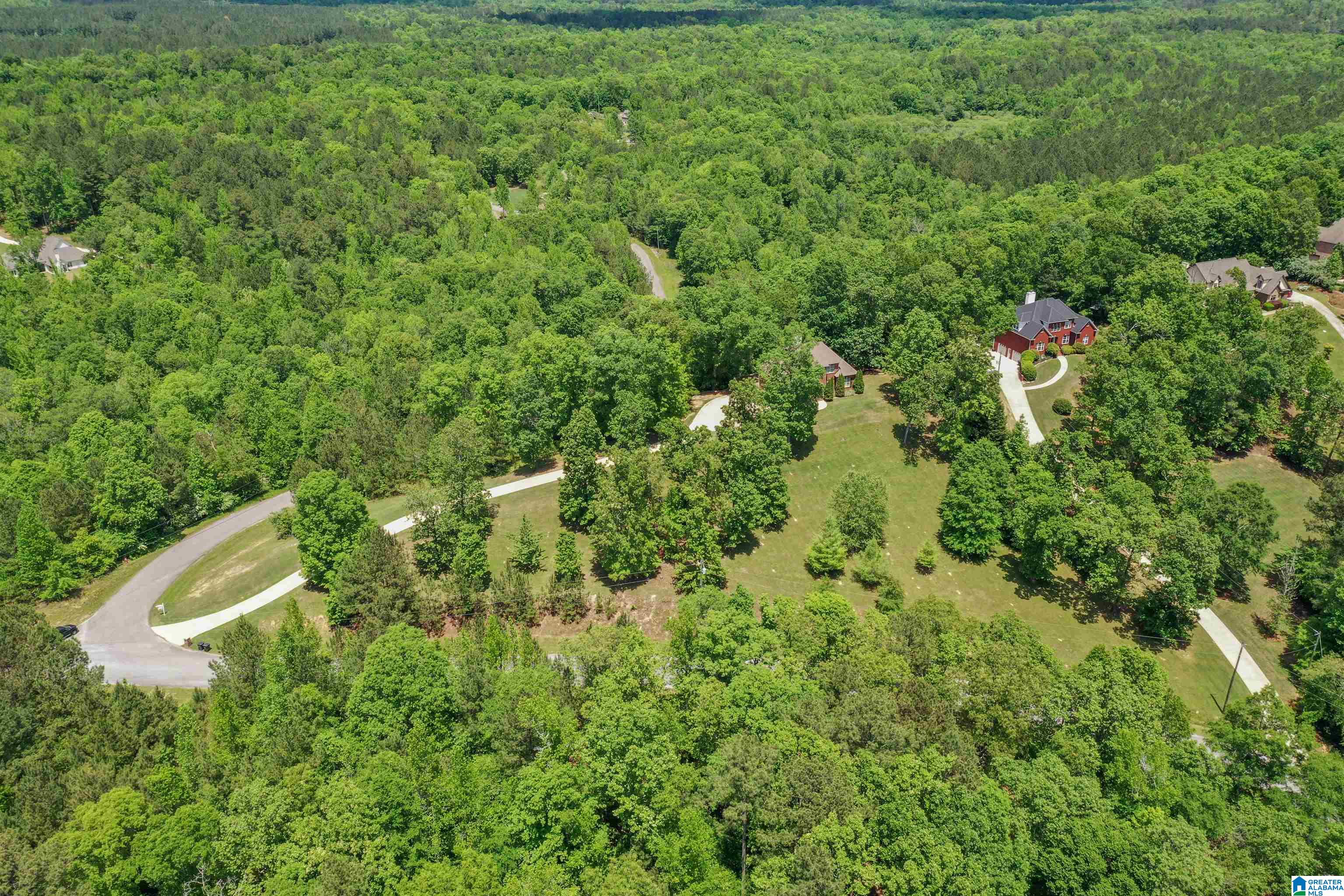 671 Hidden Ridge Chelsea, AL 35043 - Photo 75 of 76
