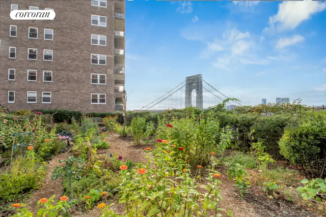 a backyard of a building with lots of green space and a building