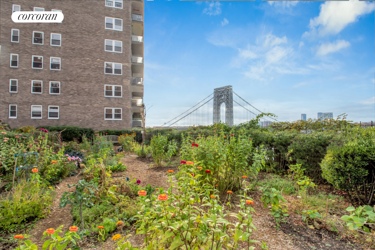 120 Cabrini Boulevard, Unit 44 Manhattan, NY 10033 - Photo 16 of 21 a backyard of a building with lots of green space and a building