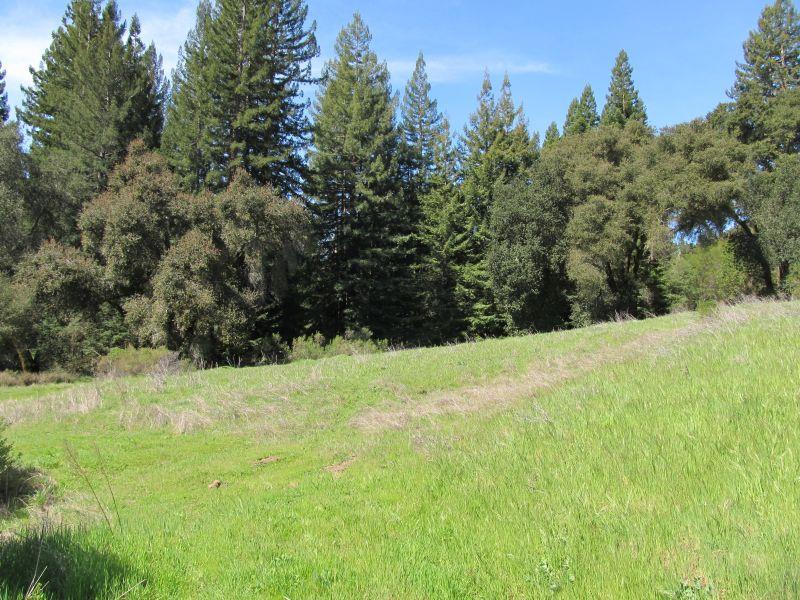 0 Two Two Bar Road Boulder Creek, CA 95006 - Photo 24 of 70 Gallery Image 24