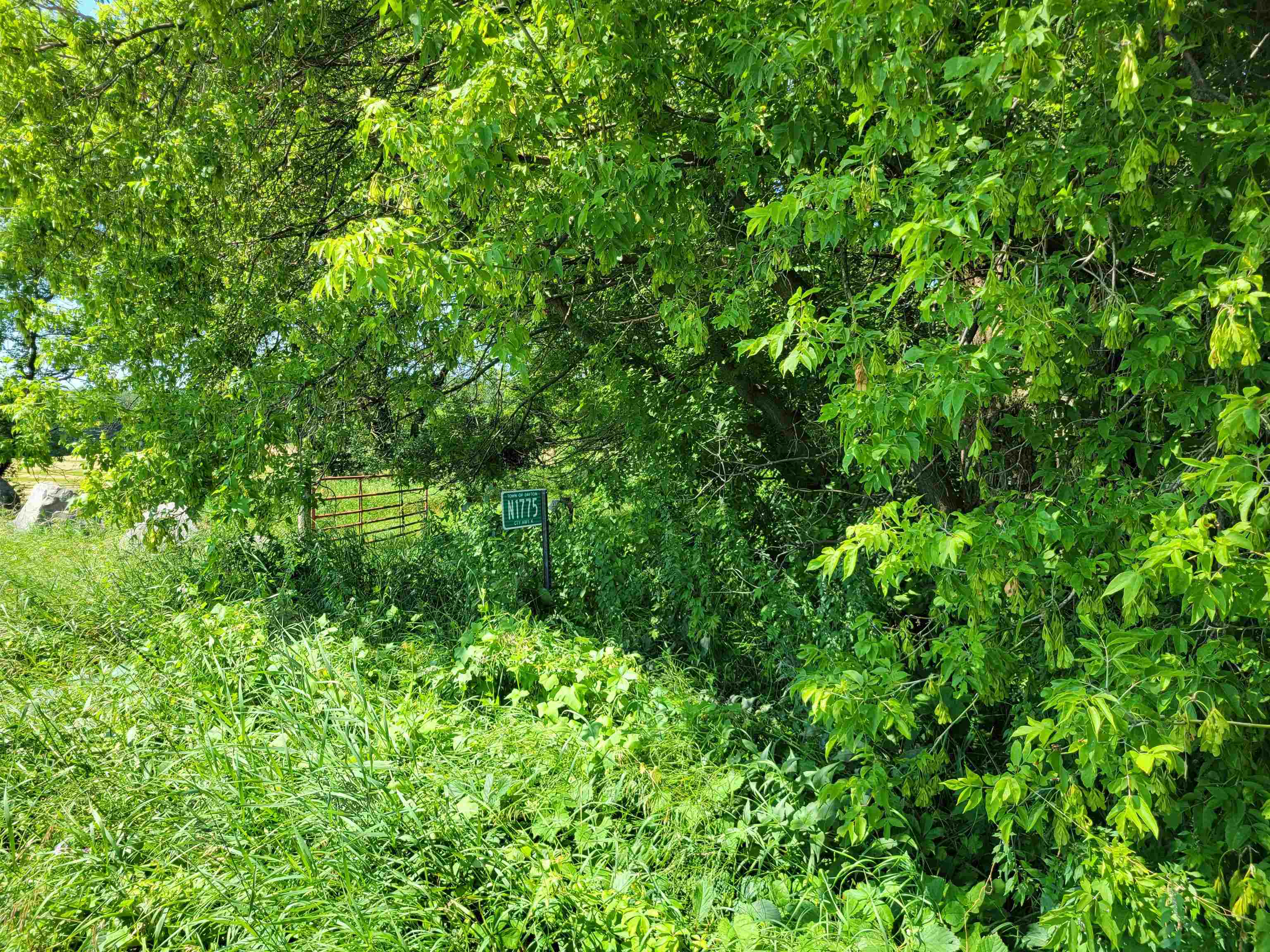 N1775 County Rd K Waupaca, WI 54981 - Photo 6 of 14