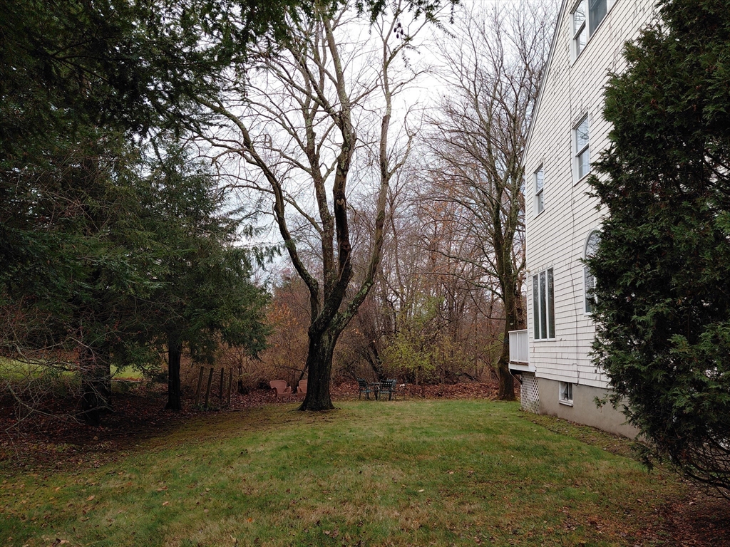 218 Lowell Street Lexington, MA 02420 - Photo 6 of 42 a view of a tree in front of a white house