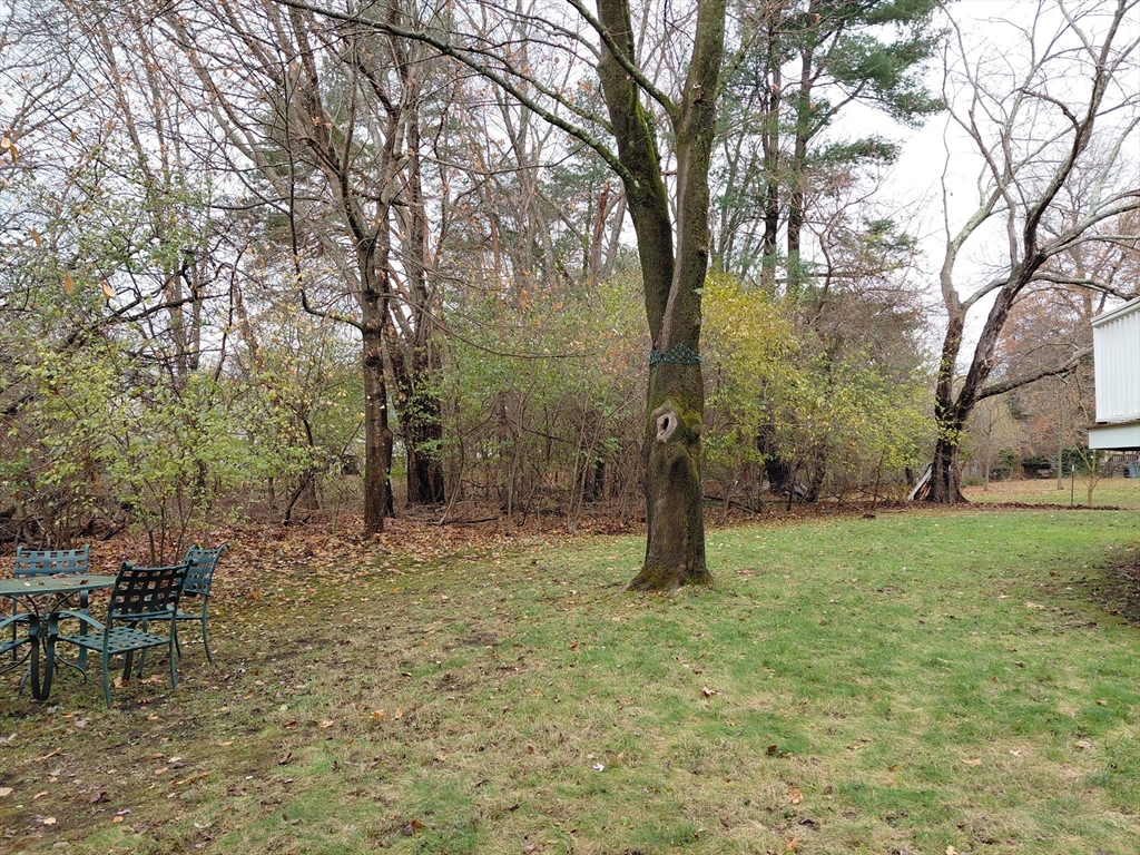 218 Lowell Street Lexington, MA 02420 - Photo 8 of 42 a backyard of a house with lots of green space
