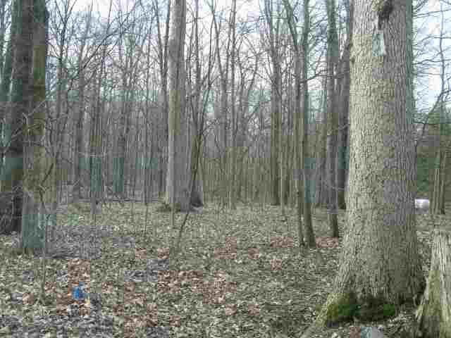 5120 State Rte 101 St. Joe, IN 46785 - Photo 8 of 25