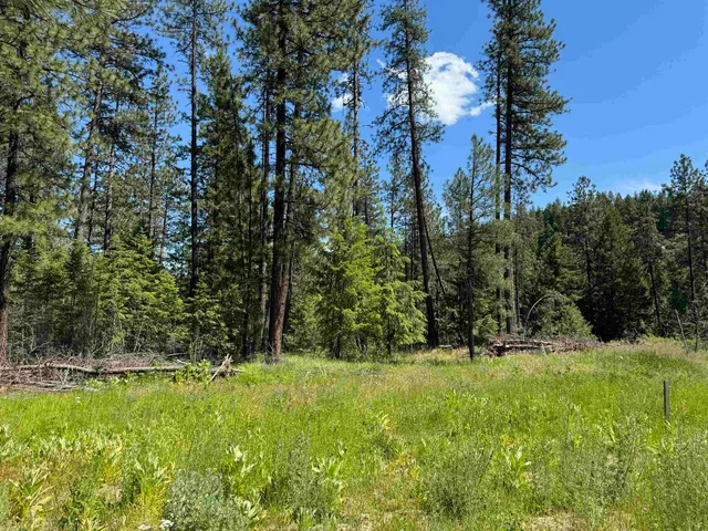 $119,000 | 510 North A Street, Unit LOT #6, Springdale, WA 99173